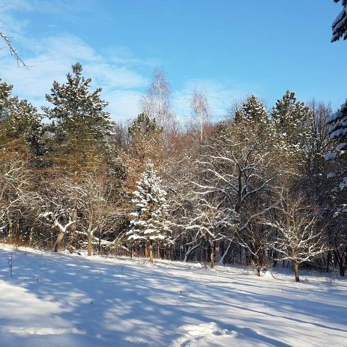 Новорічні розваги 